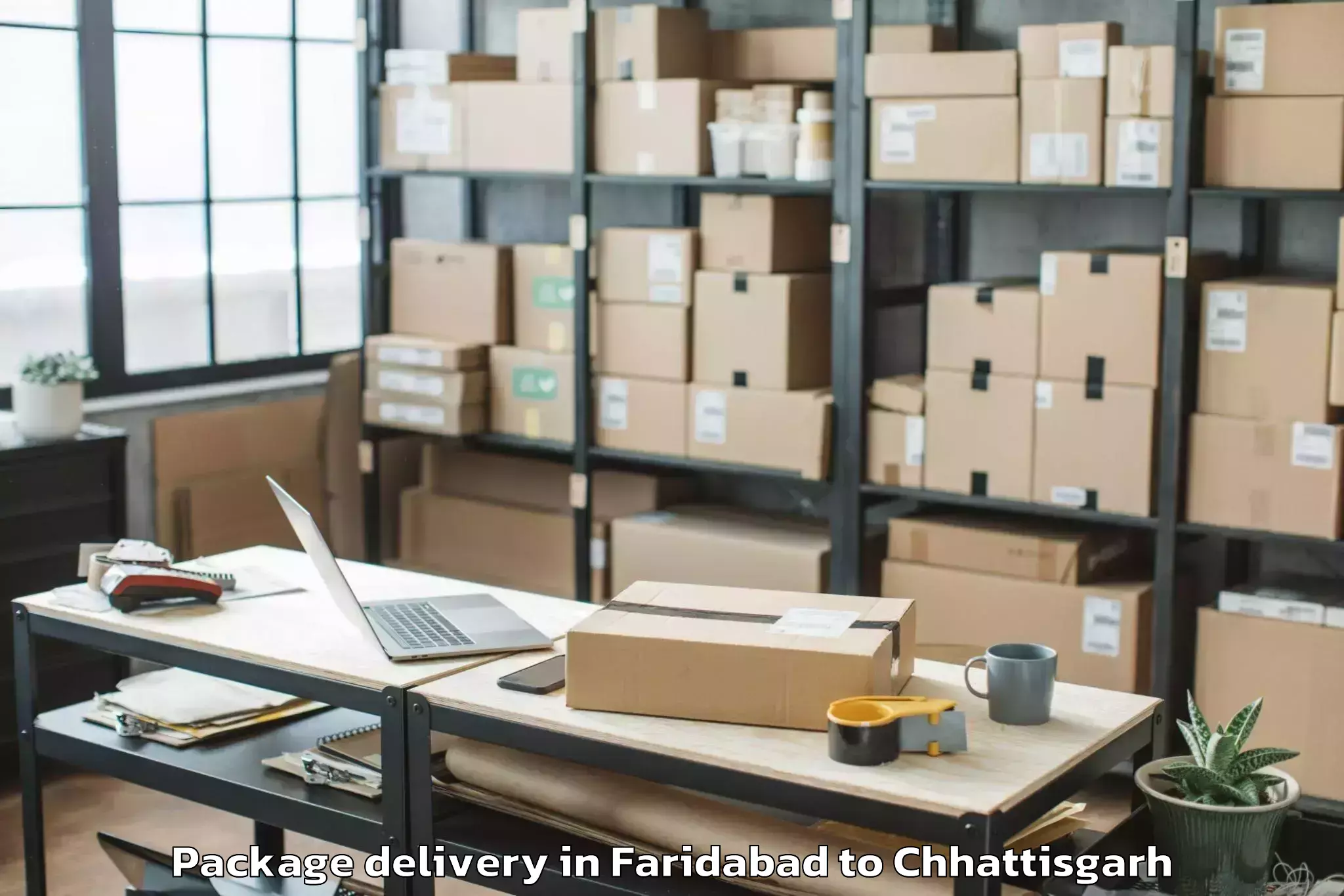 Quality Faridabad to Gharghoda Package Delivery